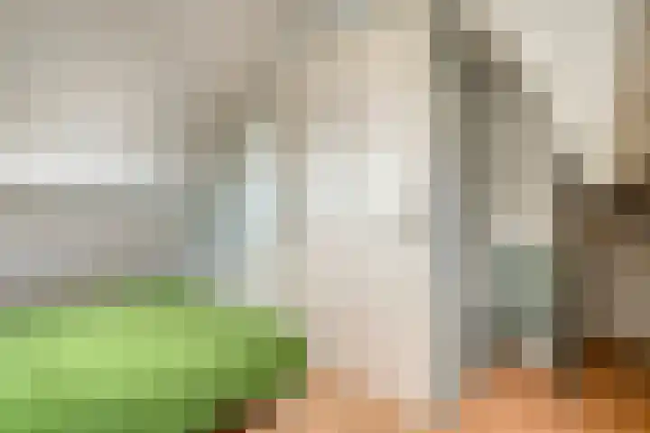 Welhaak 23 Zuidwolde thumbnail 34