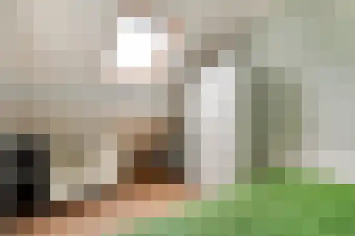 Welhaak 23 Zuidwolde thumbnail 35
