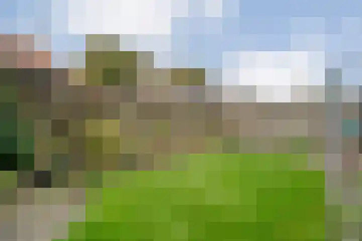 Welhaak 23 Zuidwolde thumbnail 38