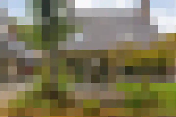Welhaak 23 Zuidwolde thumbnail 41
