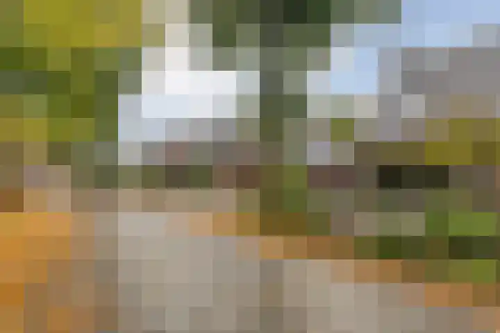 Welhaak 23 Zuidwolde thumbnail 42