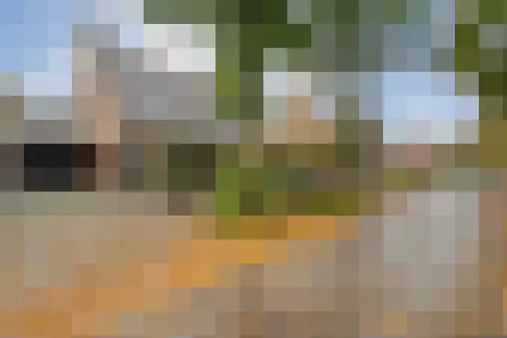 Welhaak 23 Zuidwolde thumbnail 43