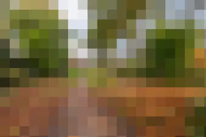 Welhaak 23 Zuidwolde thumbnail 44