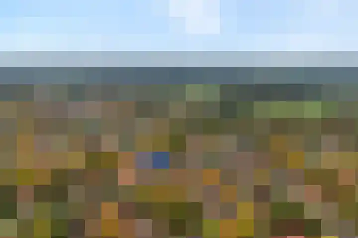 Welhaak 23 Zuidwolde thumbnail 45