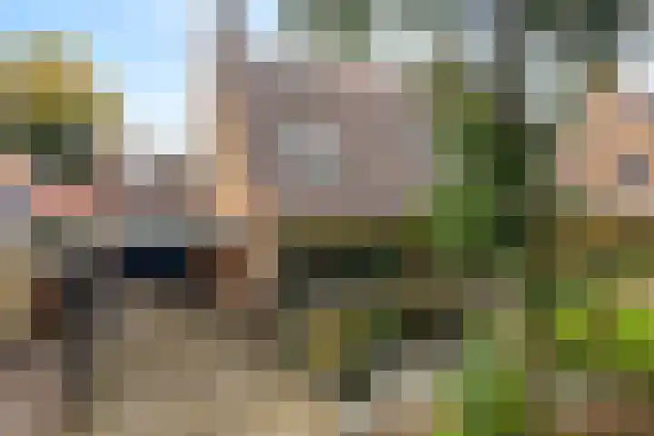 Welhaak 23 Zuidwolde thumbnail 5