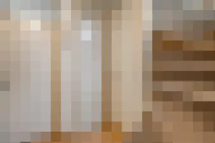 Welhaak 23 Zuidwolde thumbnail 8