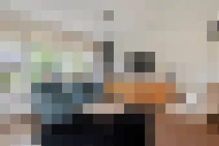 Welhaak 23 Zuidwolde thumbnail 9