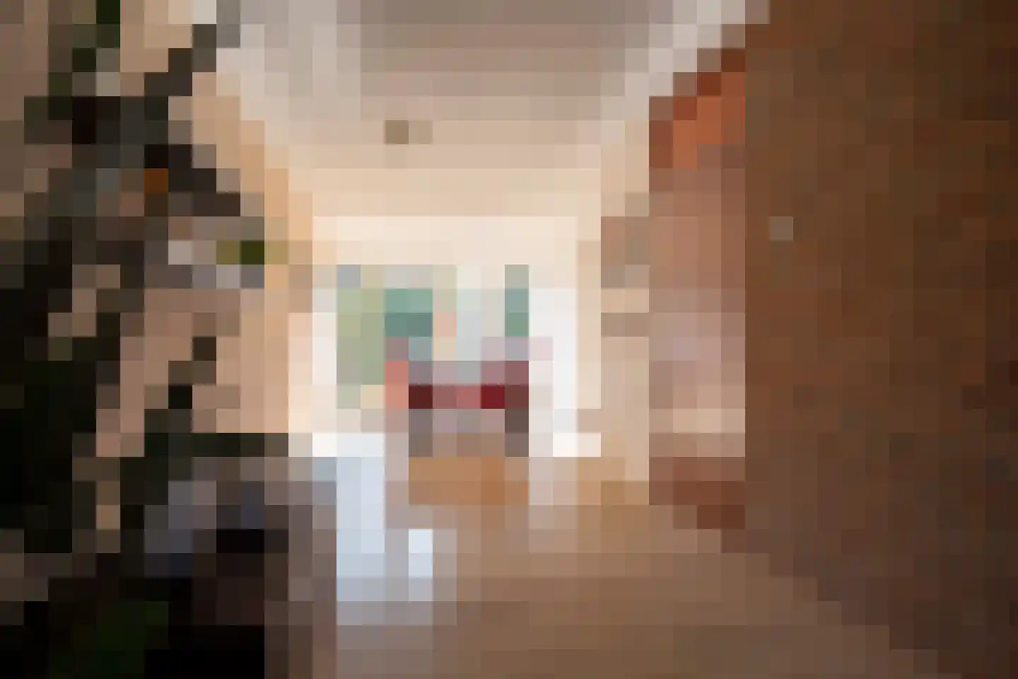 Welhaak 24 Hasselt thumbnail 18