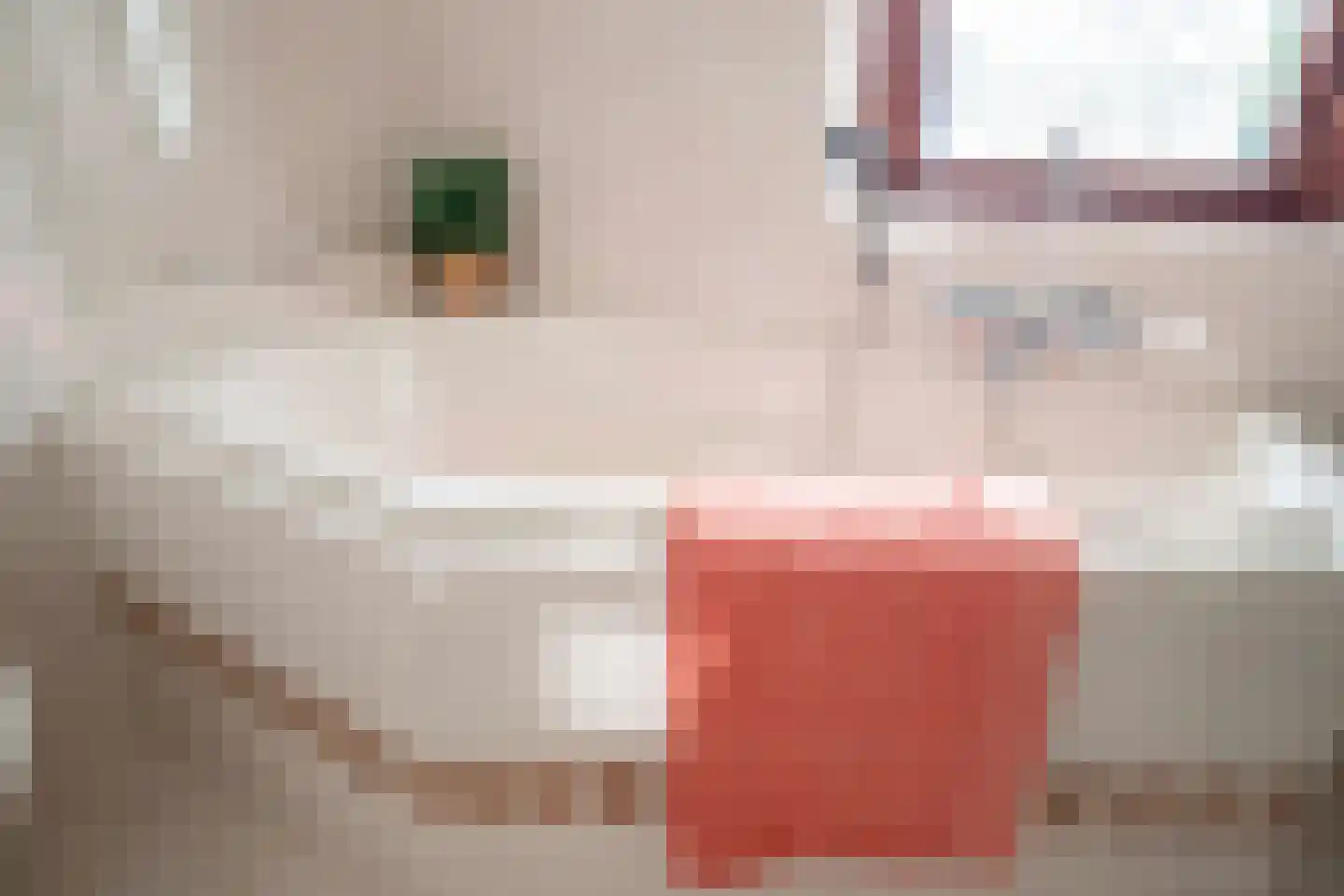 Welhaak 24 Hasselt thumbnail 43