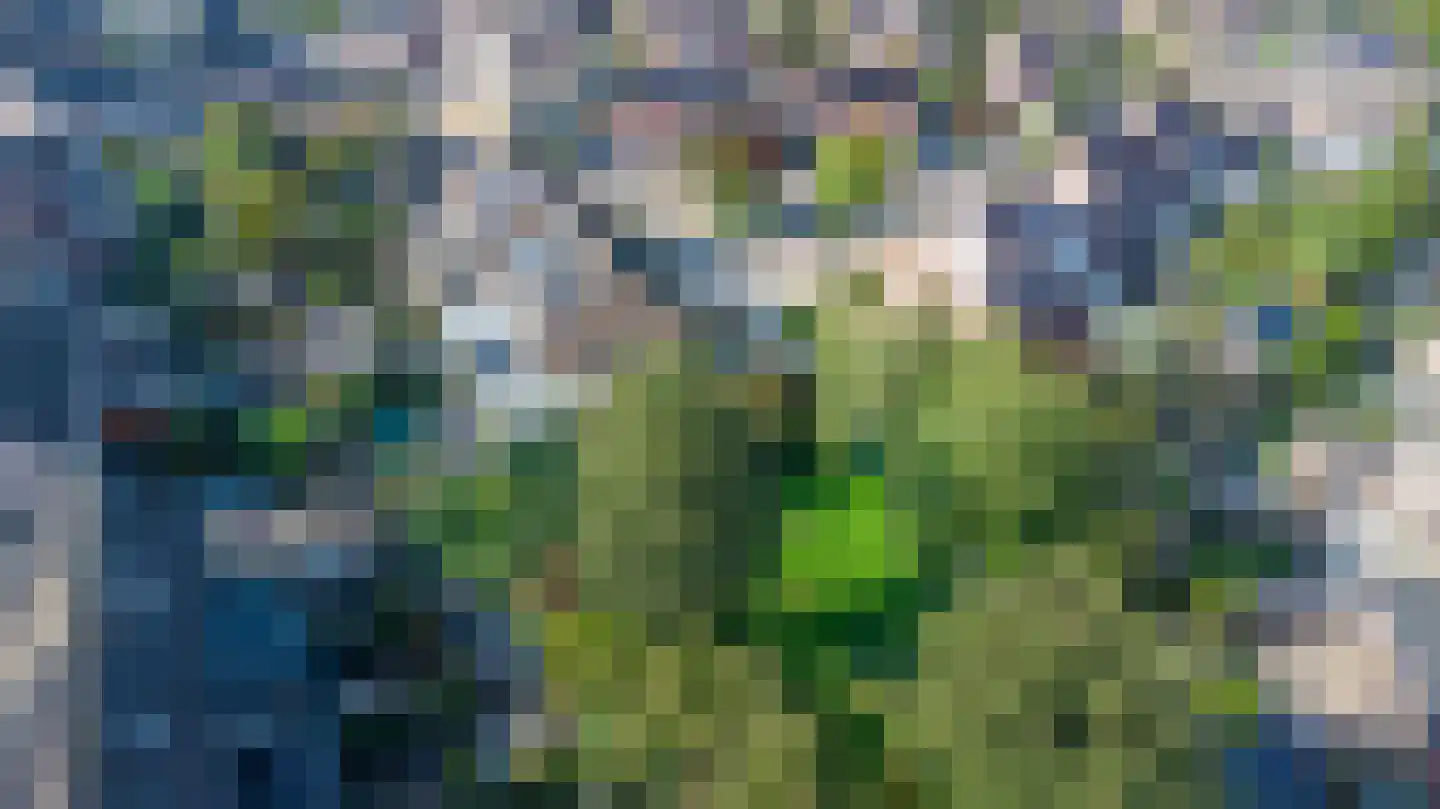 Welhaak 24 Hasselt thumbnail 8