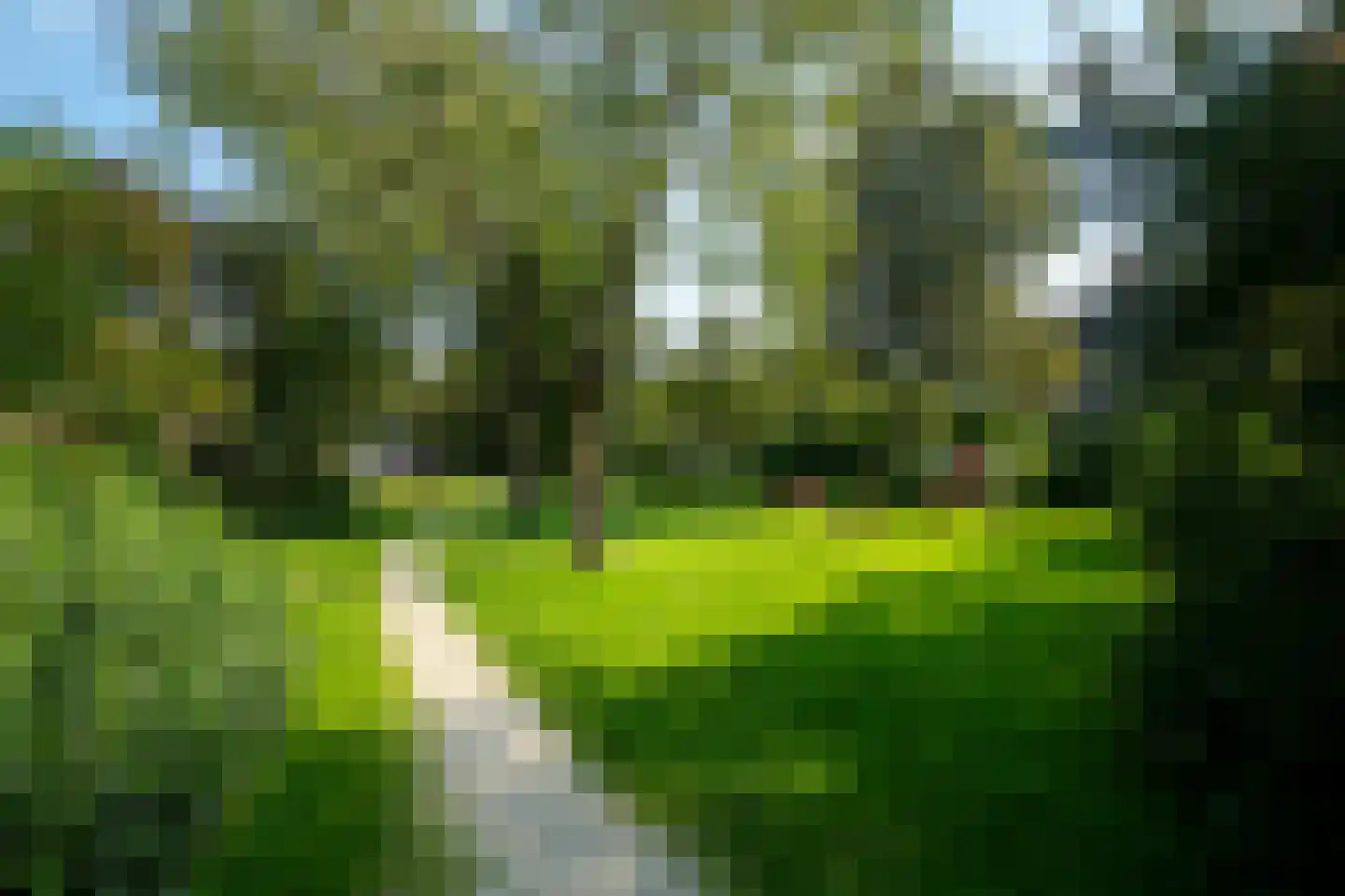 Welhaak 24 Hasselt thumbnail 9