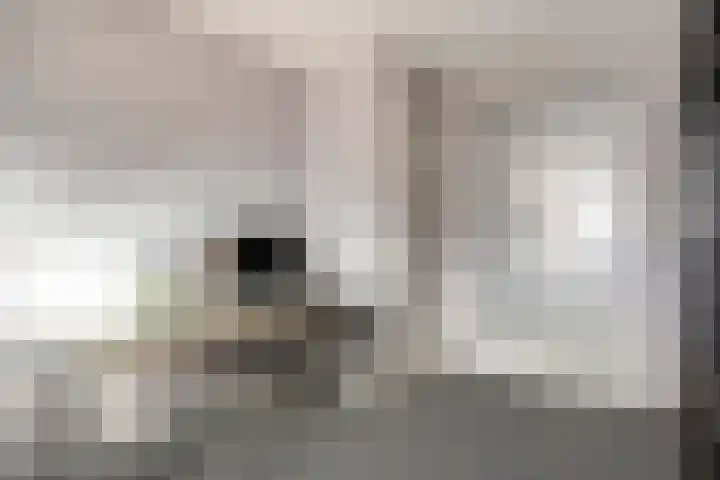 Welhaak 36 Vriezenveen thumbnail 16
