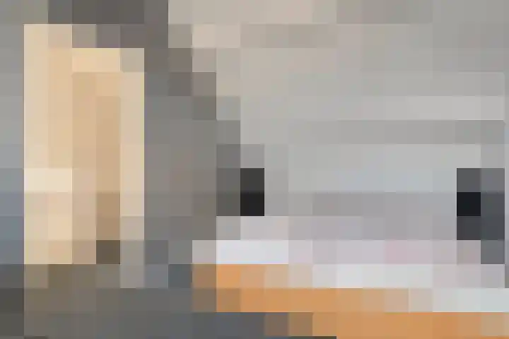 Welhaak 36 Vriezenveen thumbnail 24