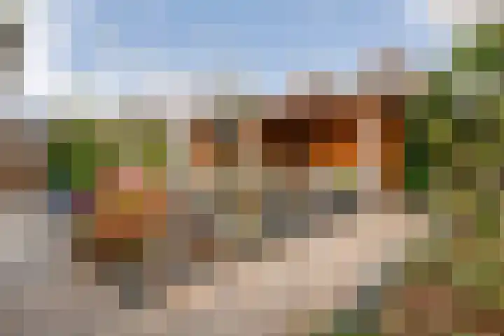 Welhaak 36 Vriezenveen thumbnail 26