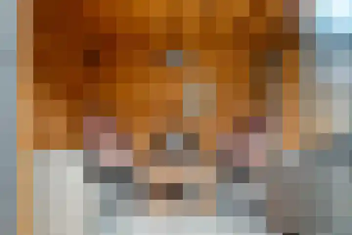 Welhaak 36 Vriezenveen thumbnail 29