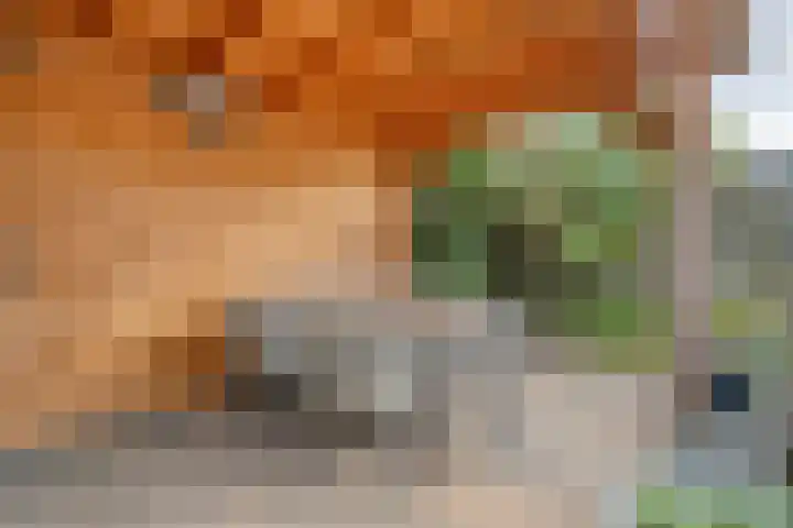 Welhaak 36 Vriezenveen thumbnail 31