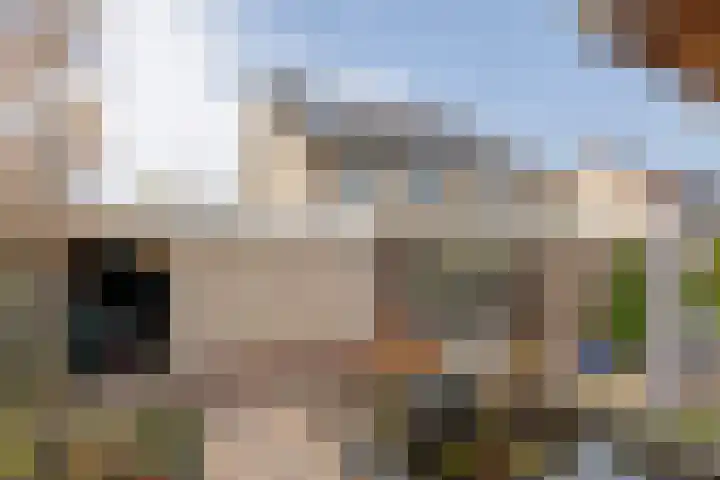 Welhaak 36 Vriezenveen thumbnail 32