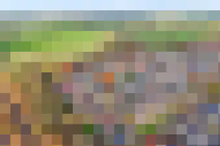 Welhaak 36 Vriezenveen thumbnail 35