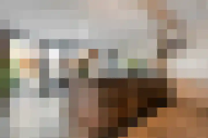 Welhaak 36 Vriezenveen thumbnail 9