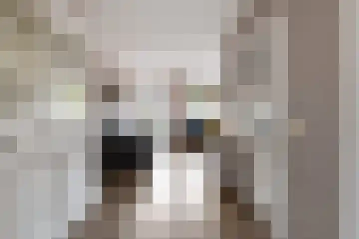 Welhaak 42 Vriezenveen thumbnail 11