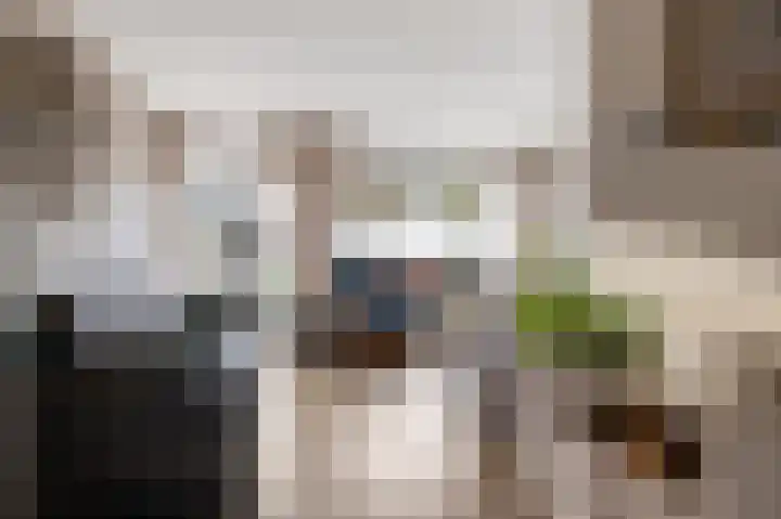Welhaak 42 Vriezenveen thumbnail 12