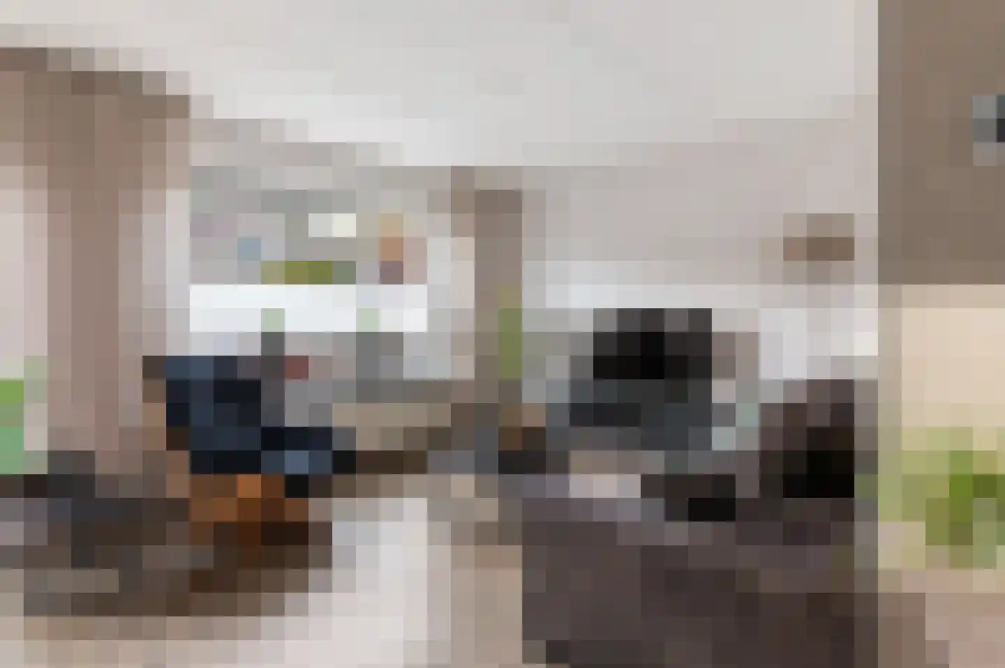 Welhaak 42 Vriezenveen thumbnail 14
