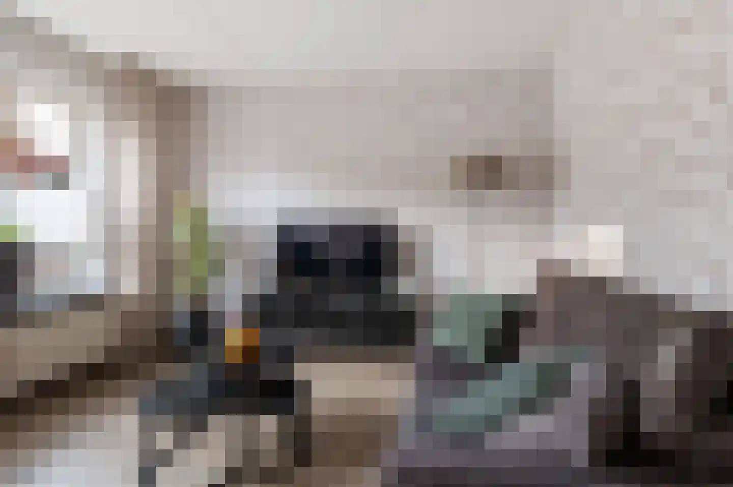 Welhaak 42 Vriezenveen thumbnail 16