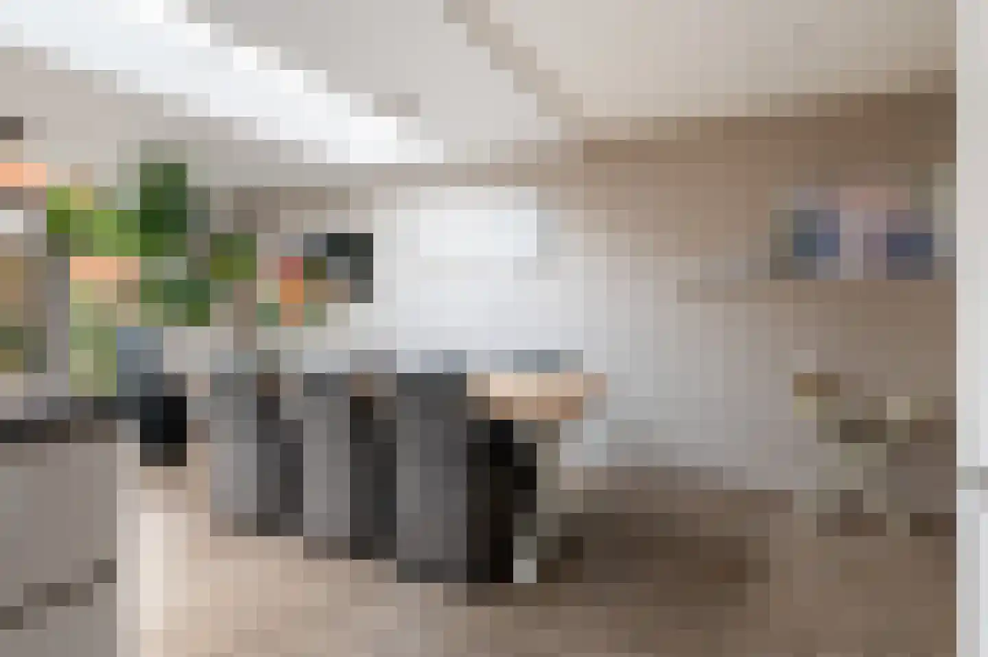 Welhaak 42 Vriezenveen thumbnail 19