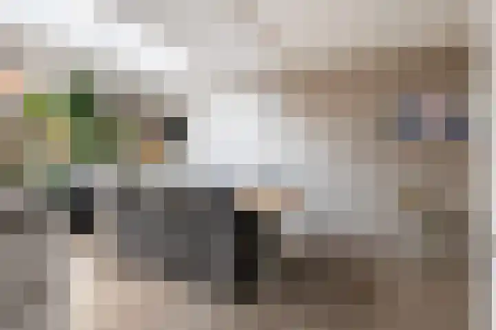 Welhaak 42 Vriezenveen thumbnail 19