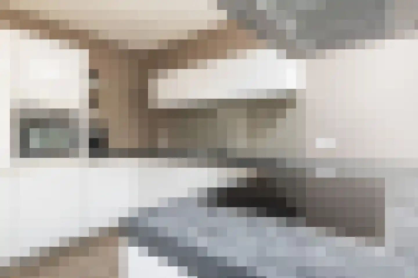 Welhaak 42 Vriezenveen thumbnail 20