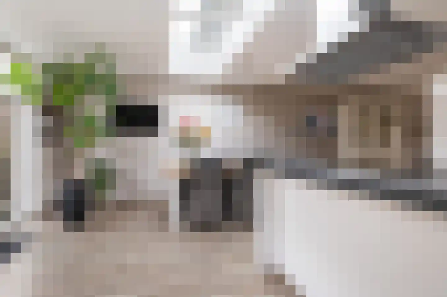 Welhaak 42 Vriezenveen thumbnail 21