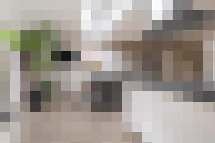 Welhaak 42 Vriezenveen thumbnail 21