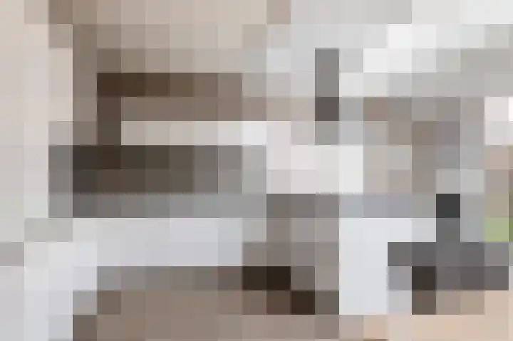 Welhaak 42 Vriezenveen thumbnail 24