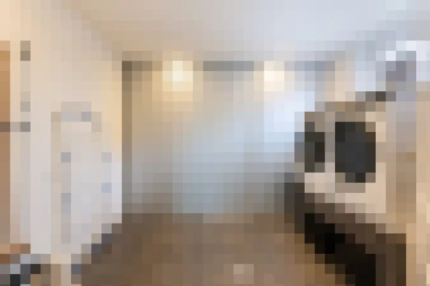 Welhaak 42 Vriezenveen thumbnail 26