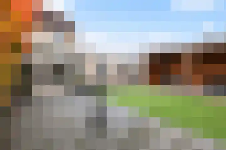 Welhaak 42 Vriezenveen foto 3