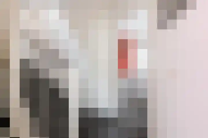 Welhaak 42 Vriezenveen thumbnail 30