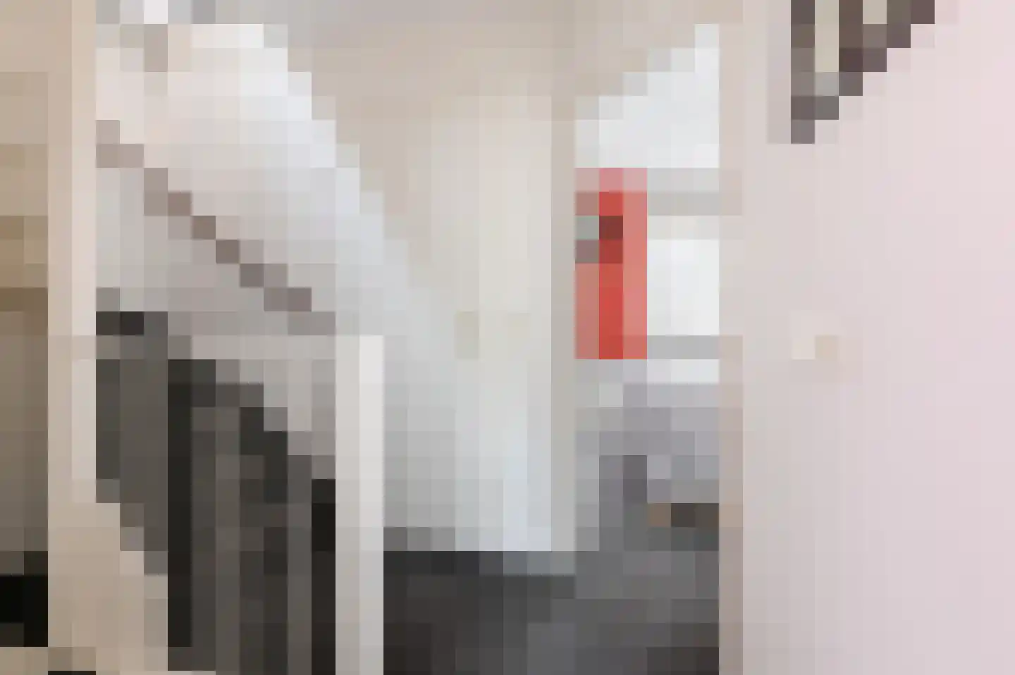 Welhaak 42 Vriezenveen thumbnail 30