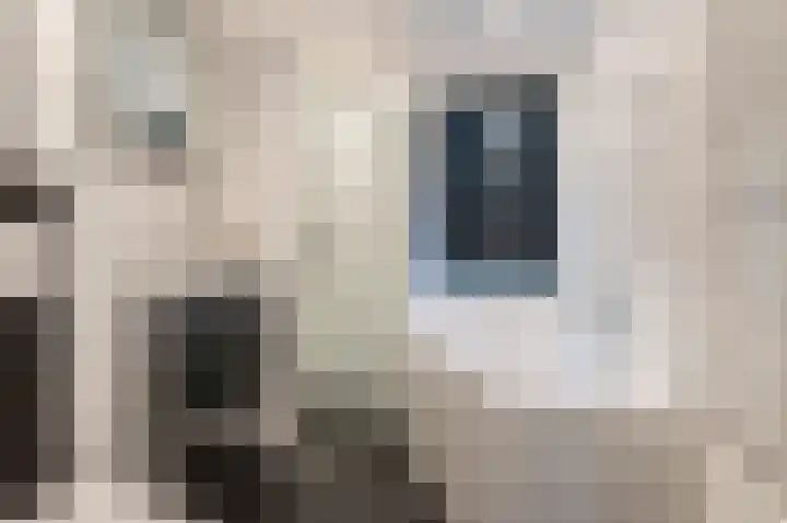 Welhaak 42 Vriezenveen thumbnail 34