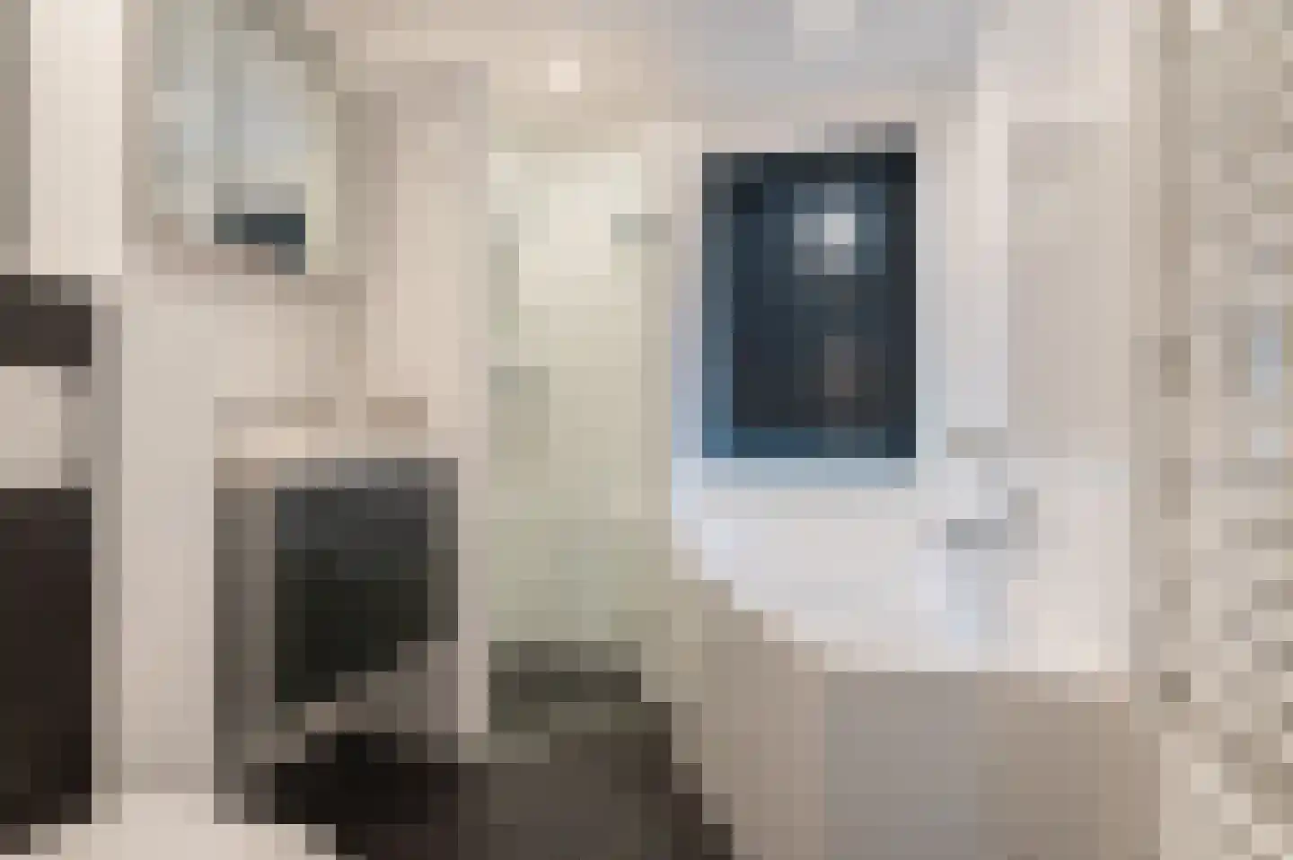 Welhaak 42 Vriezenveen thumbnail 34