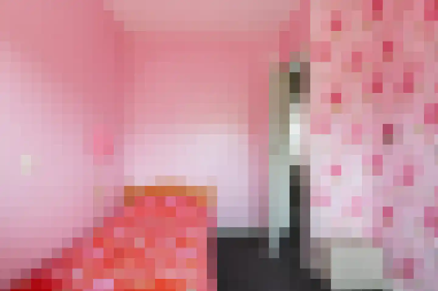 Welhaak 42 Vriezenveen thumbnail 37