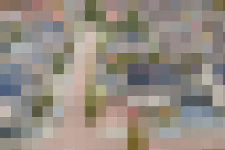 Welhaak 42 Vriezenveen thumbnail 4