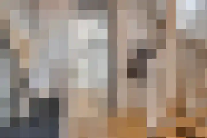 Welhaak 42 Vriezenveen thumbnail 43