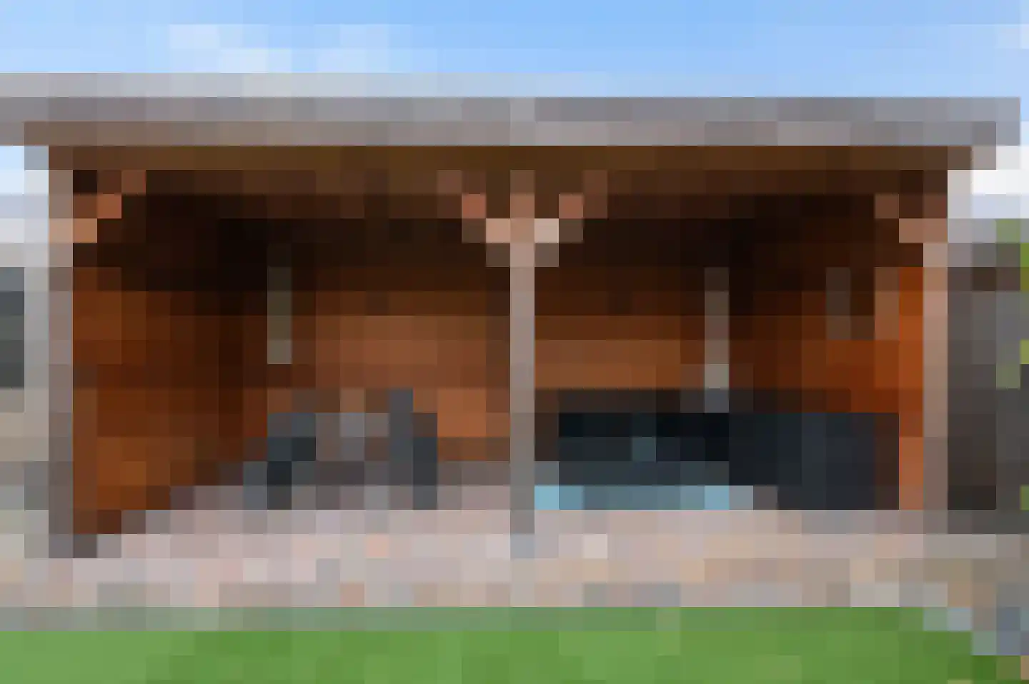 Welhaak 42 Vriezenveen thumbnail 45