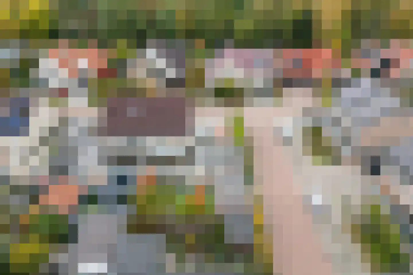 Welhaak 42 Vriezenveen thumbnail 47