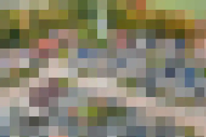 Welhaak 42 Vriezenveen thumbnail 48