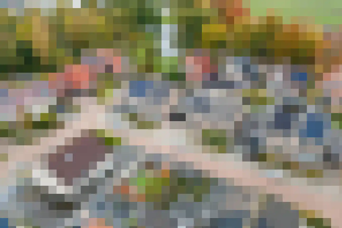 Welhaak 42 Vriezenveen thumbnail 48