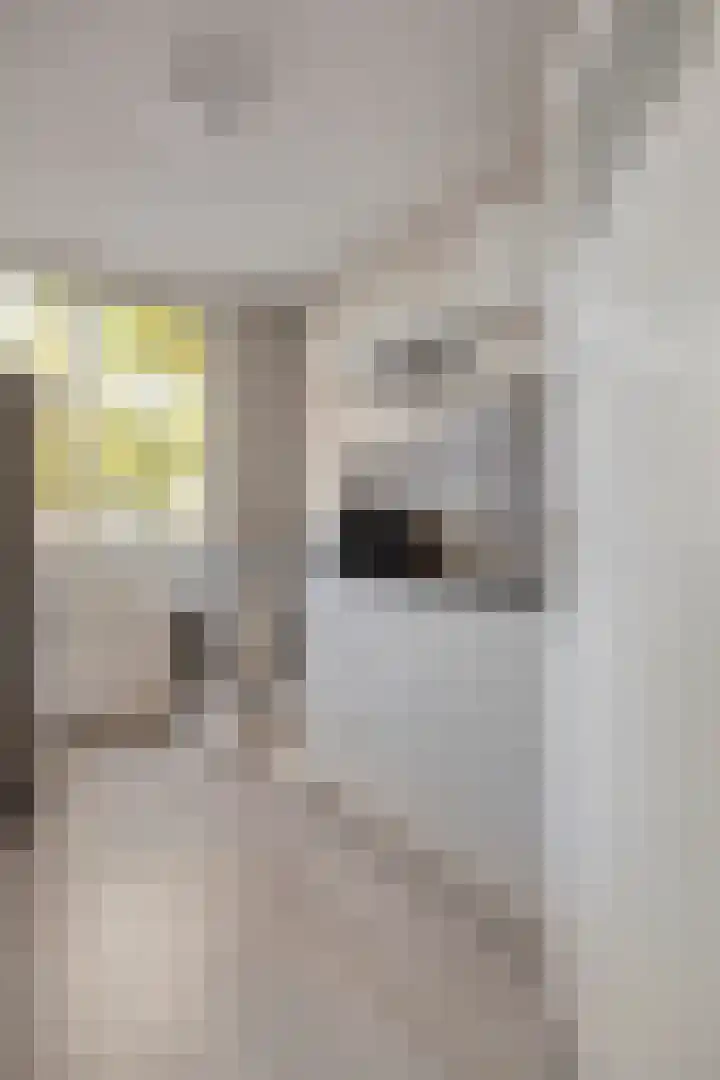 Welhaak 42 Vriezenveen thumbnail 52