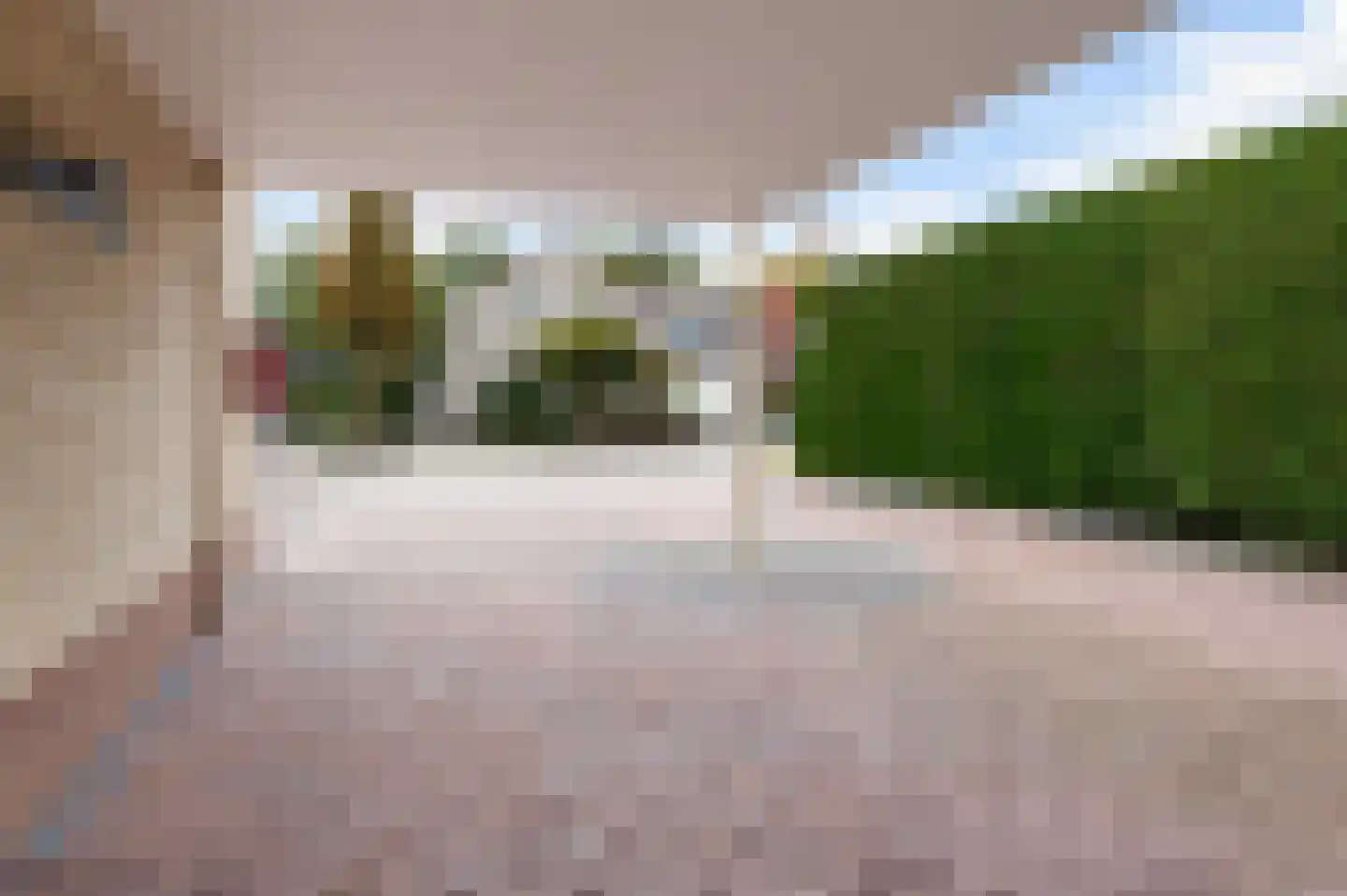 Welhaak 42 Vriezenveen thumbnail 8