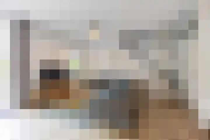 Welhaak 65 Delfzijl thumbnail 10