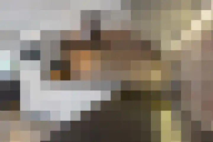 Welhaak 65 Delfzijl thumbnail 13